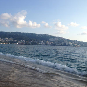 Meet your Posher, Nancy cabello